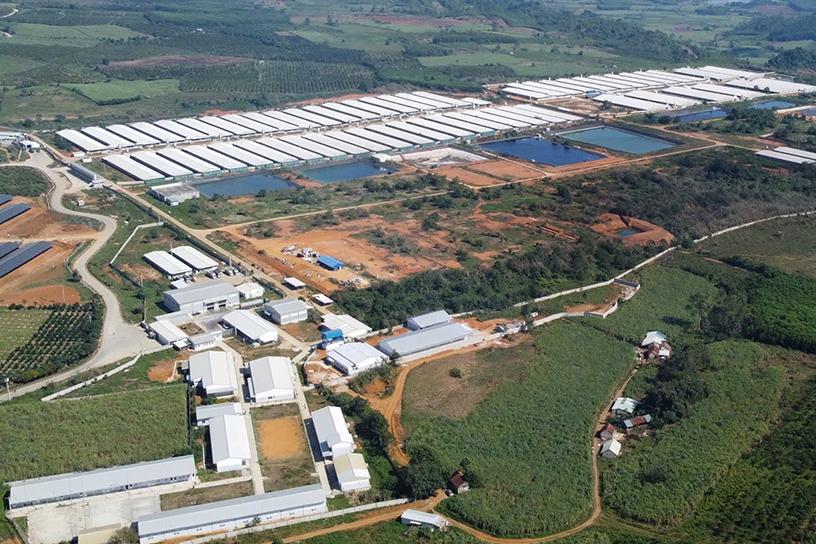 Trang Trại Chăn Nuôi Lợn  Công Nghệ Cao S1, S2